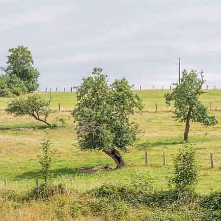 Au Pachi D'emile Бьевр