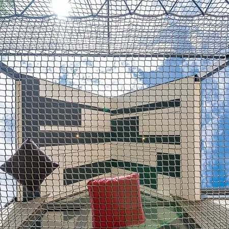 Au Pachi D'emile Tatil Evi Bièvre